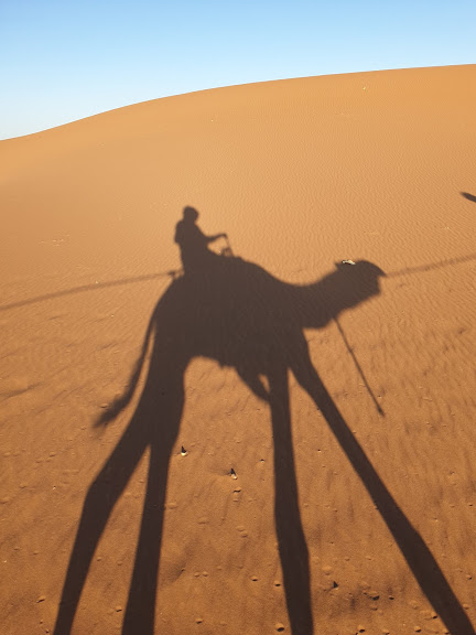 desert camel tour