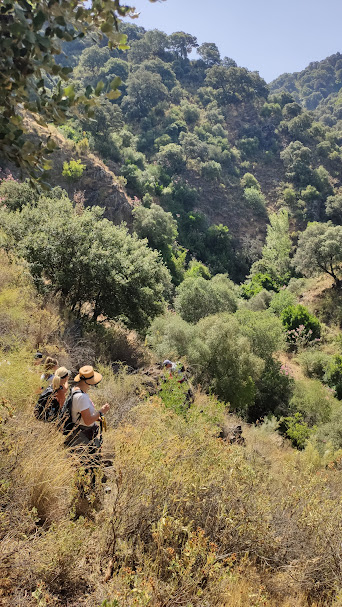 chestnut blossom weekend 02