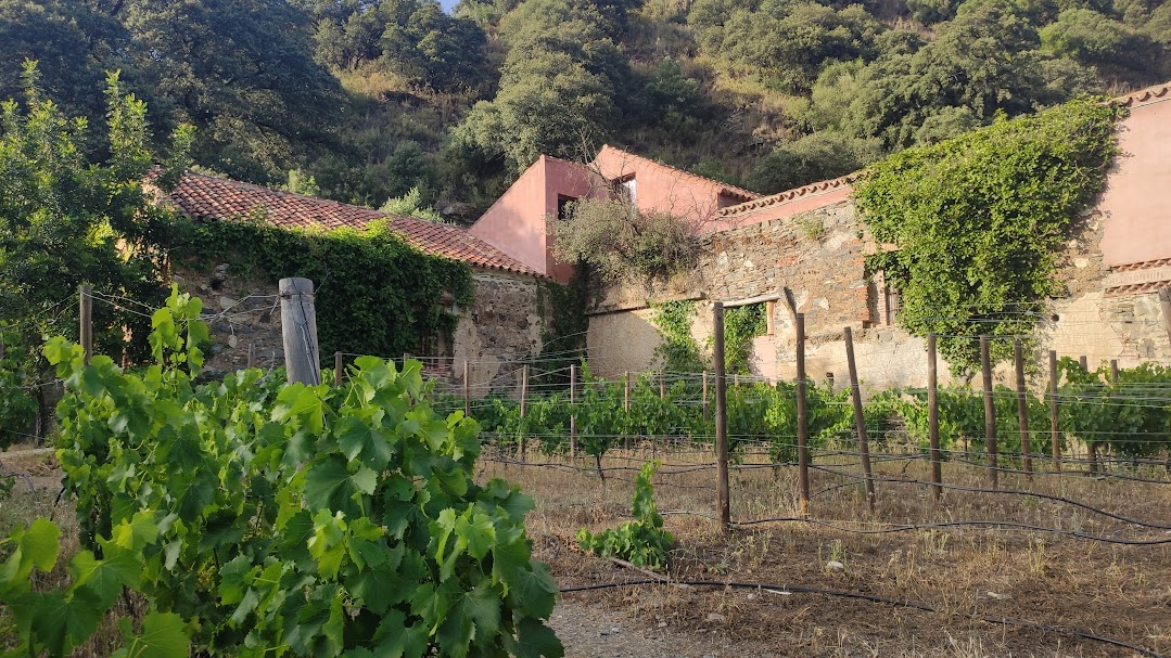 chestnut blossom weekend 03