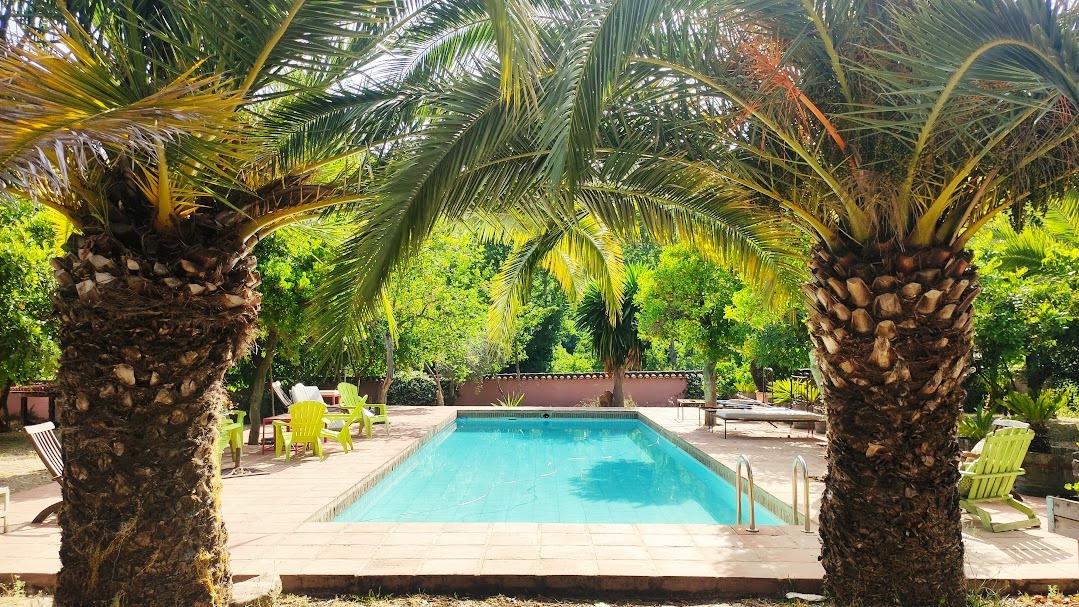 chestnut blossom weekend 05