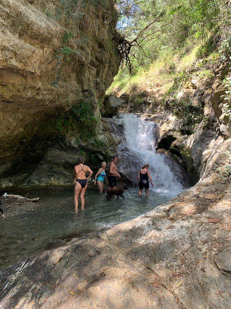 chestnut blossom weekend 07