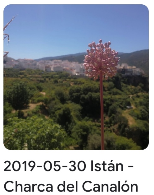2019 05 30 istan