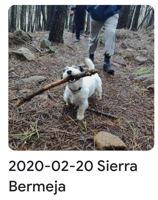 2020 02 20 sierra bermeja