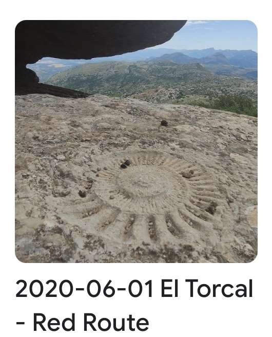 2020 06 01 torcal red