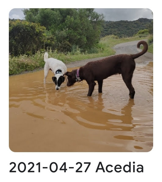 2021 04 27 acedia