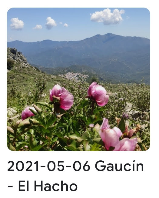 2021 05 06 gaucin hacho