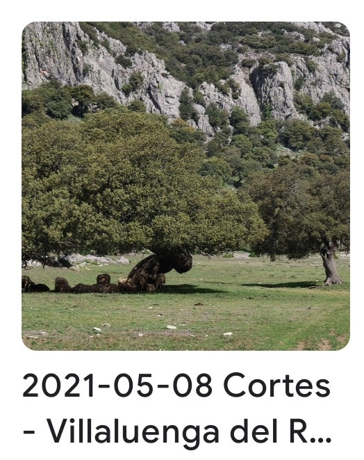 2021 05 08 cortes villaluenga