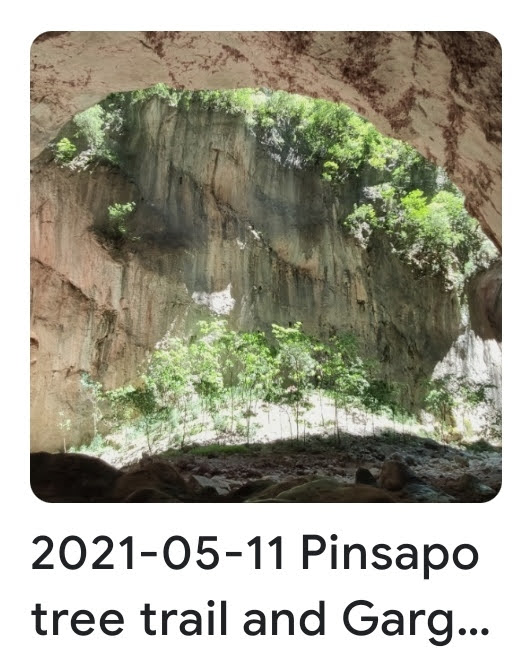 2021 05 11 pinsapar garganta verde