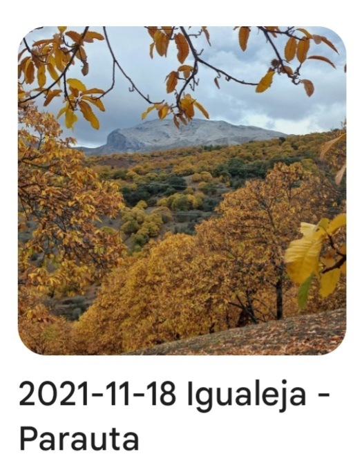 2021 11 18 parauta igualeja