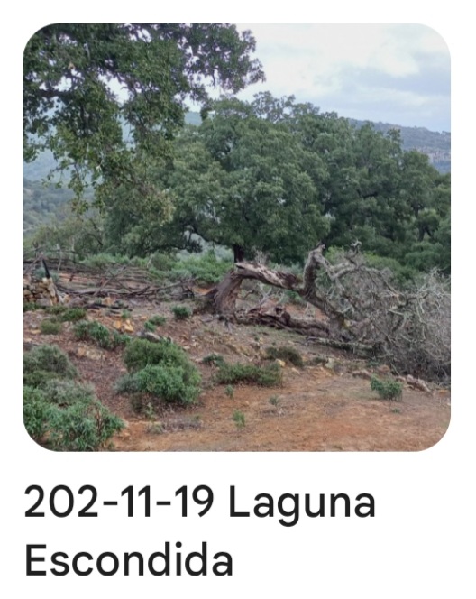 2021 11 19 laguna escondida