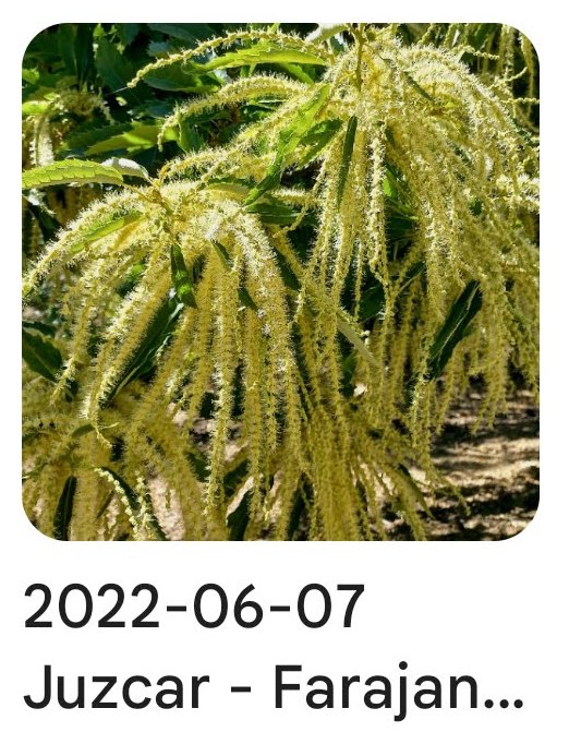 2022 06 07 hojalata