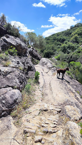 jimena views river 02b