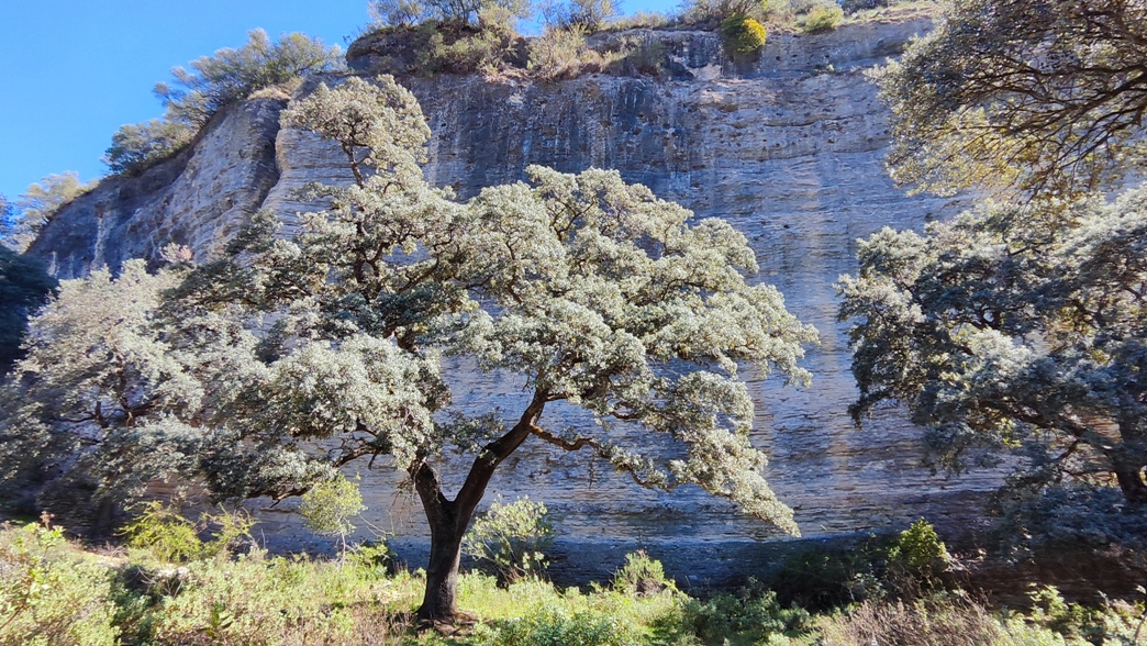 tajo abanico 03