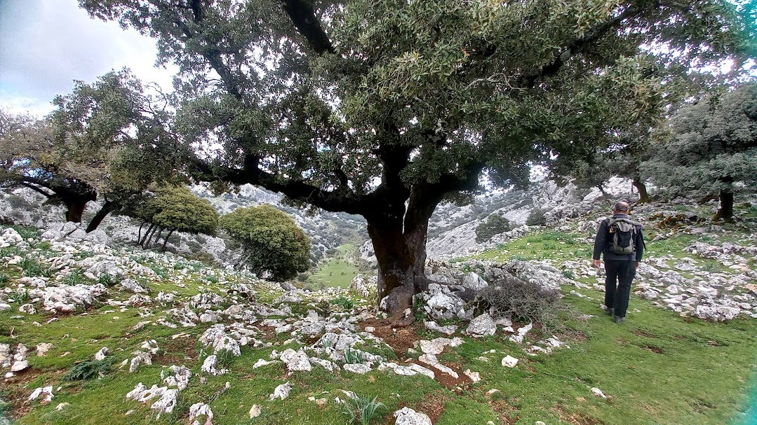 villaluenga queso 04