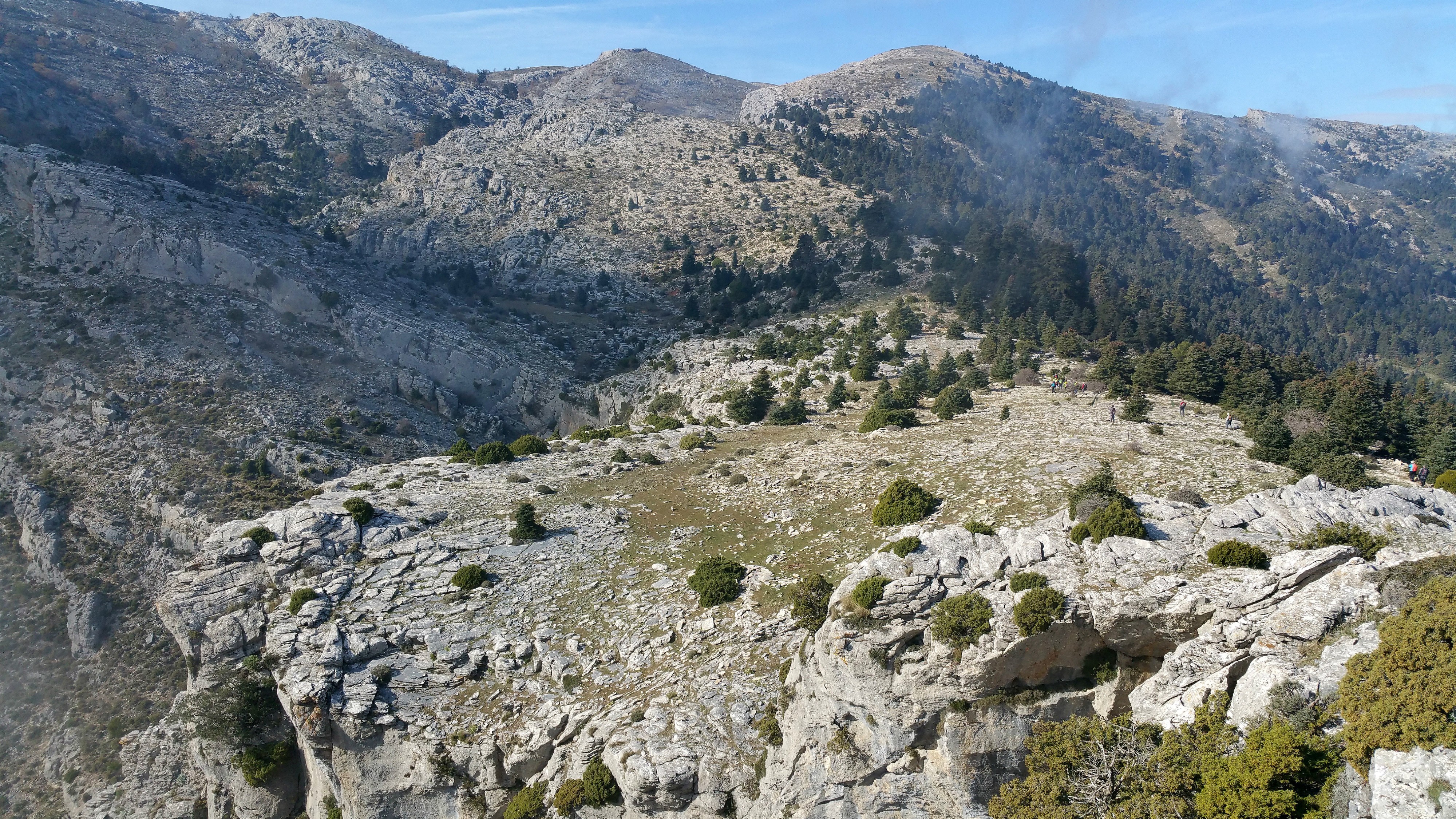 Toorecilla Sierra de las Nieves
