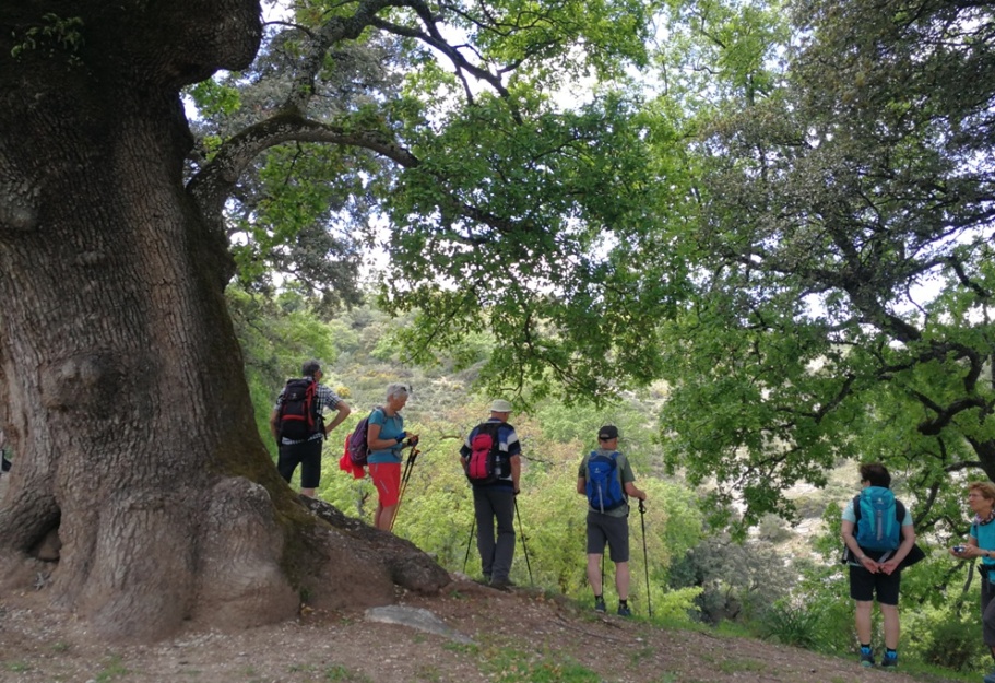 walking tours in andalucia spain