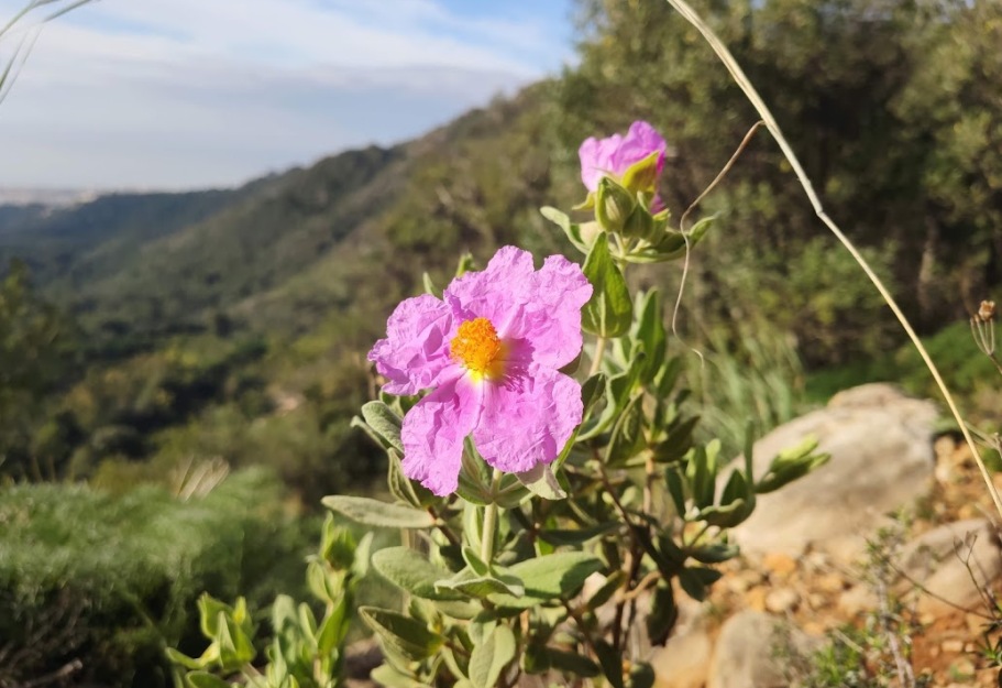 walking tours in andalucia spain