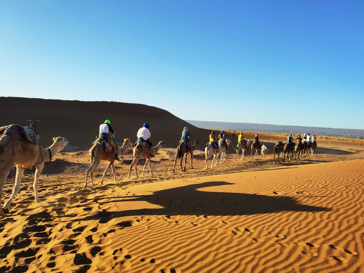 morocco 2023 desert camel