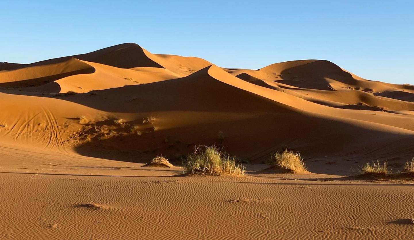 morocco 2023 desert dunes