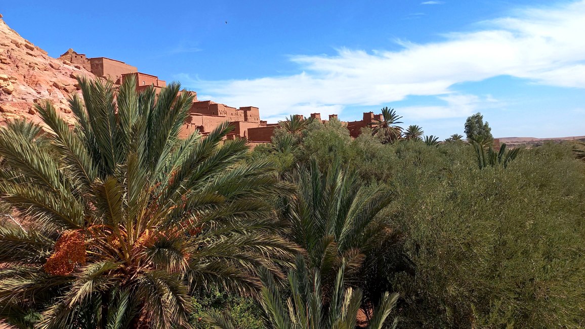 morocco 2023 oasis