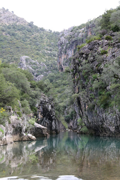 Die Geierschlucht Cortes de la Frontera Andalusien