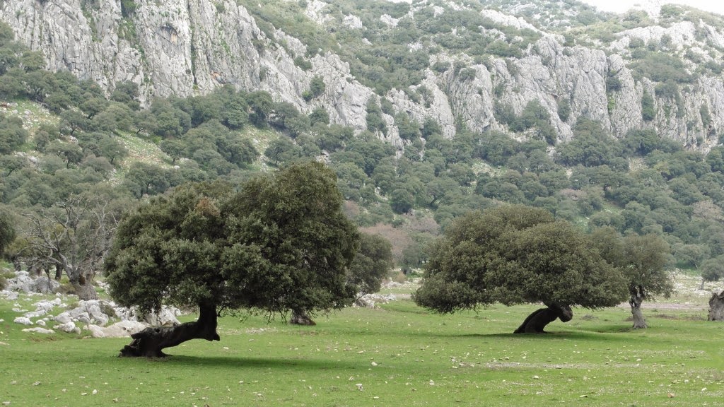 Los Llanos de Líbar