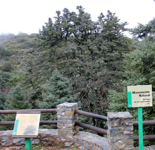 Escaleretas path