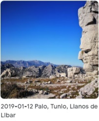 2019 01 12 Palo Tunio Llanos de Libar