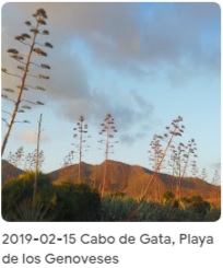 2019 02 15 Cabo Gata