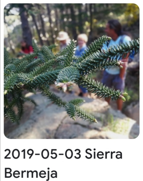 2019 05 03 Sierra bermeja