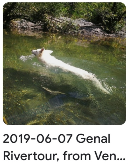 2019 06 07 genal