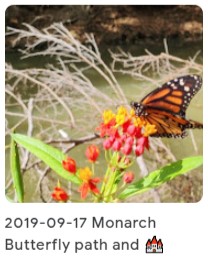 2019 09 17 monarch