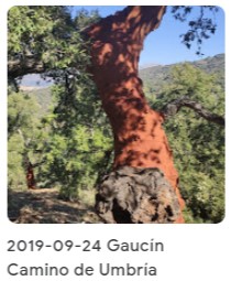 2019 09 24 gaucin