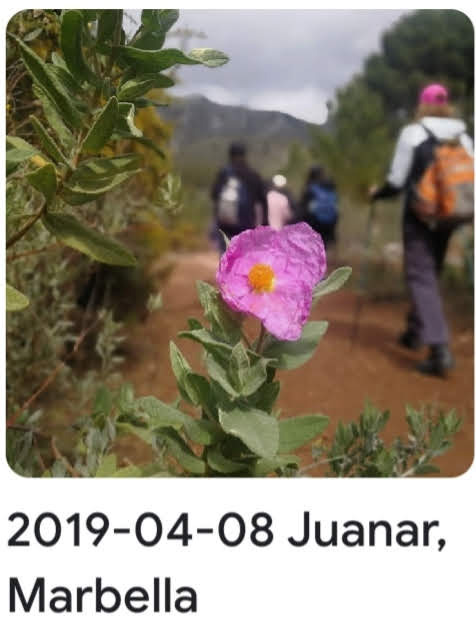 2019 04 08 juanar