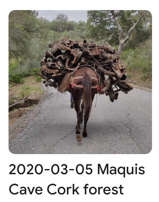 2020 03 05 maquis
