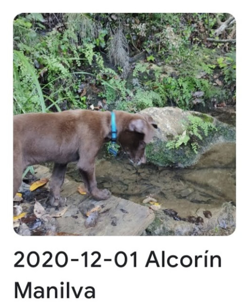 2020 12 01 alcorin
