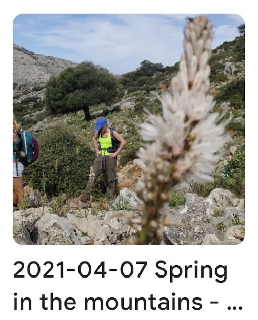 2021 04 07 spring mountains