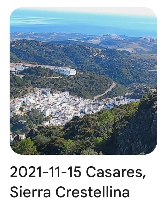 2021 11 15 crestellina