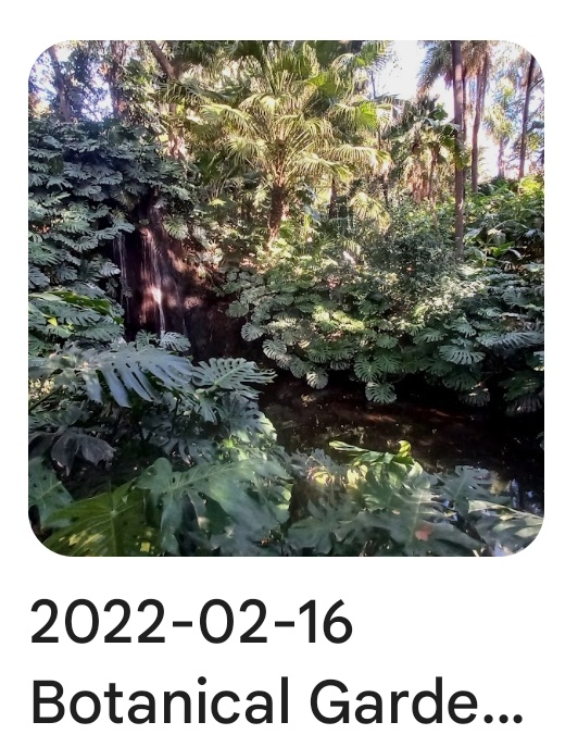 2022 02 16 botanical garden