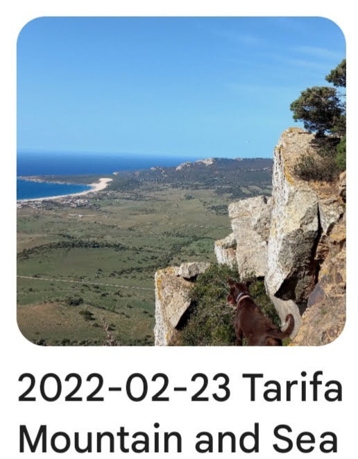 2022 02 23 tarfa mountain