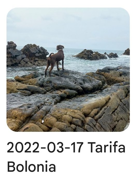 2022 03 17 tarifa bolonia