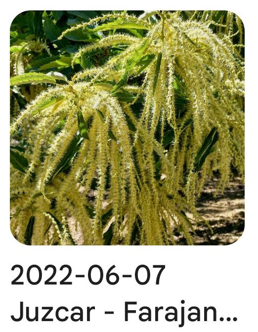 2022 06 07 hojalata