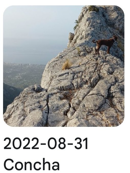 2022 08 31 concha