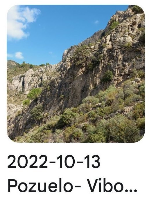 2029 10 13 viborilla
