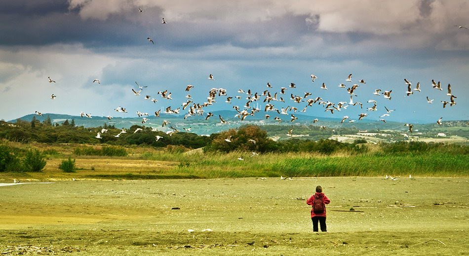 Sotogrande coastal 02