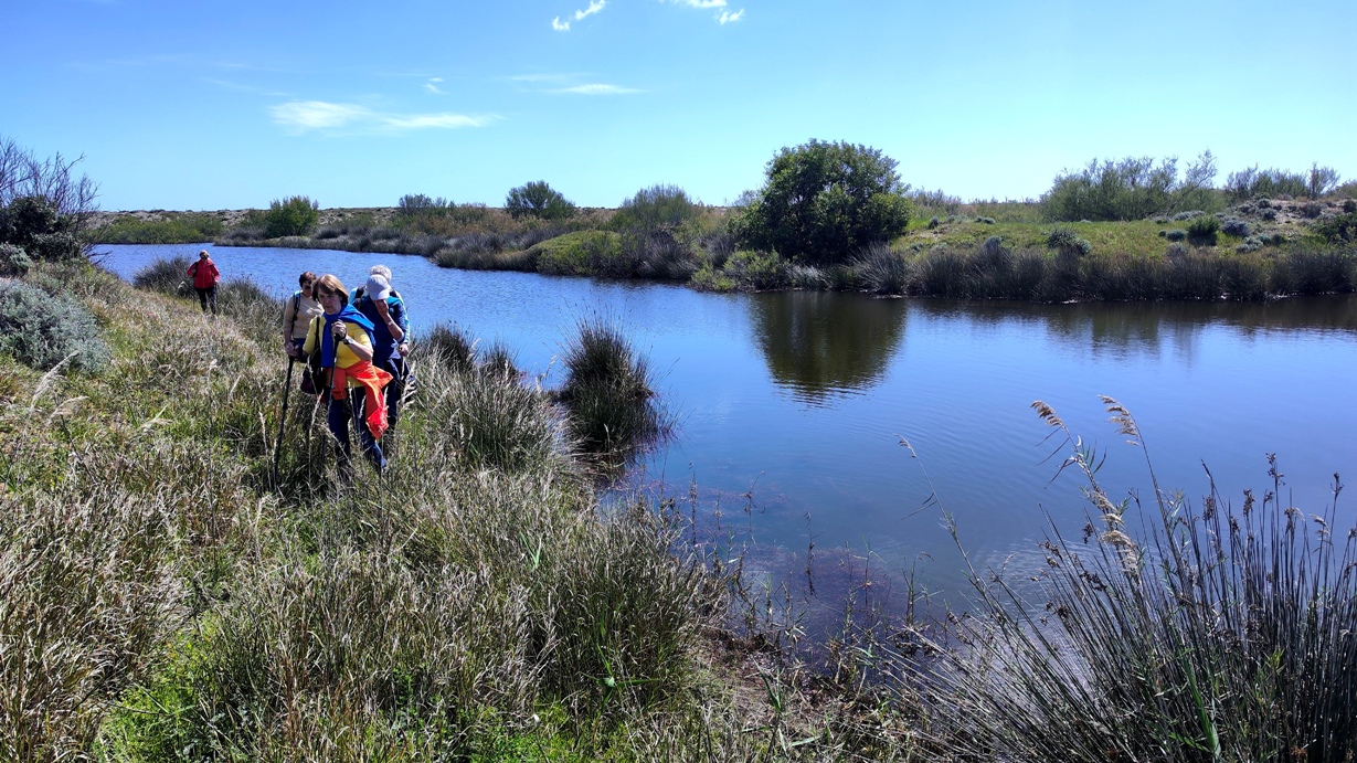 Sotogrande coastal 03