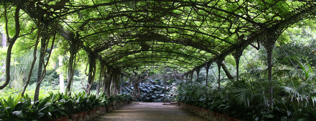 botanical garden malaga 03