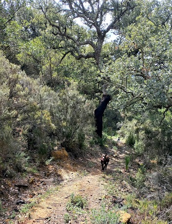 cuevas palomas alcaidesa 02