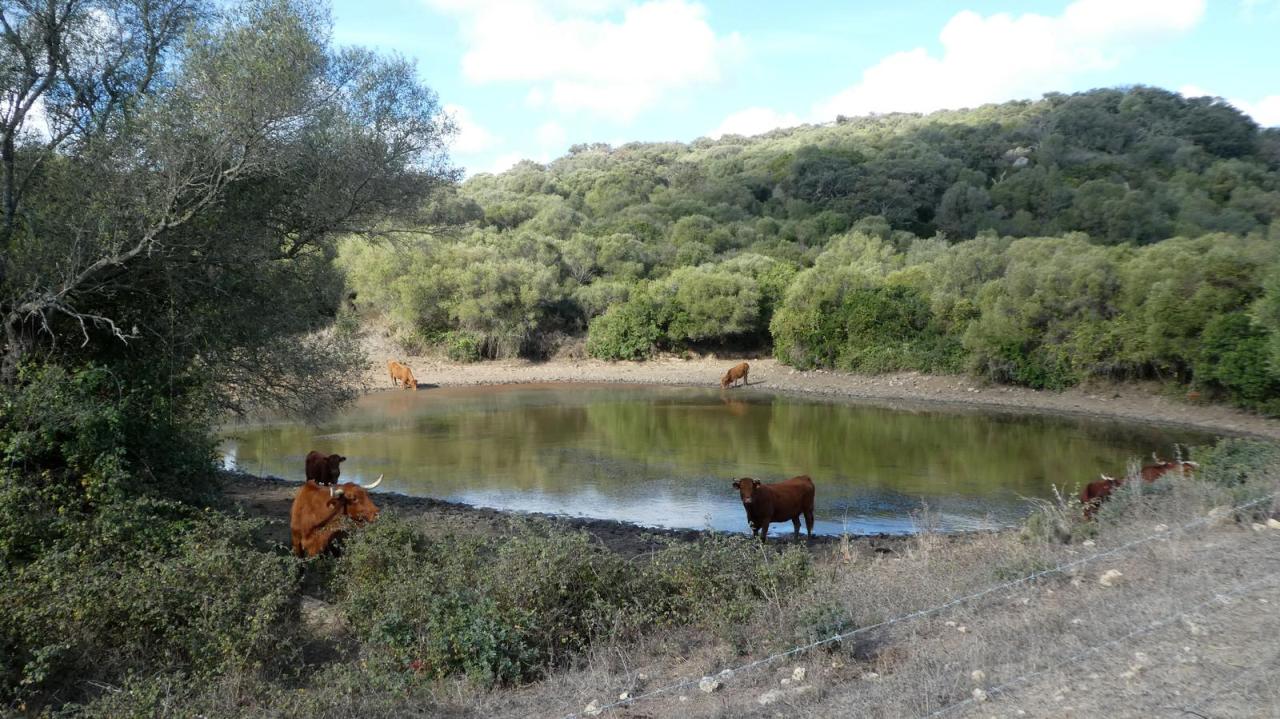 cuevas palomas alcaidesa 03