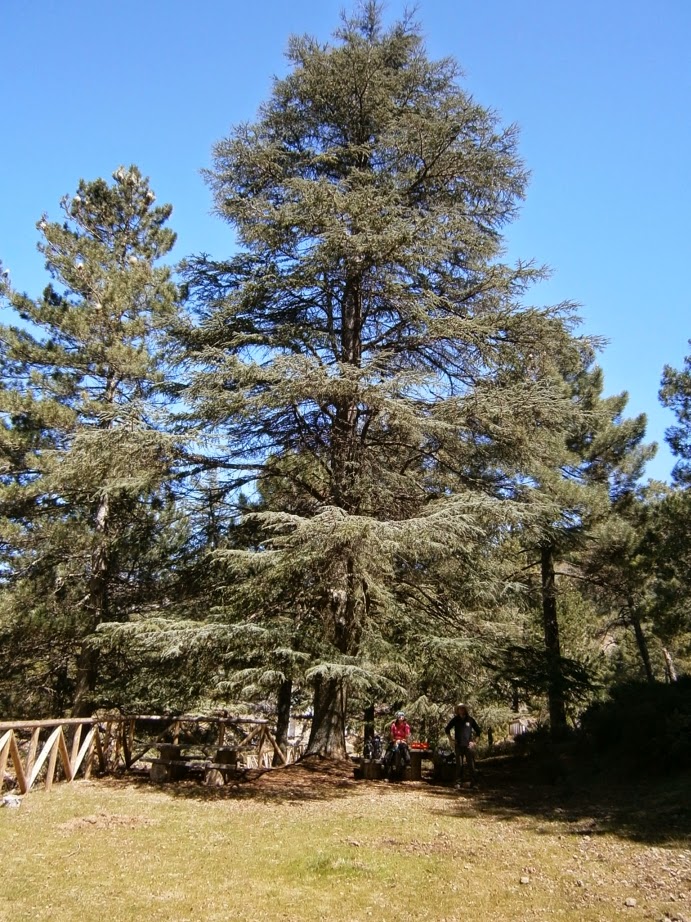 La Fuenfría - Sierra de las Nieves